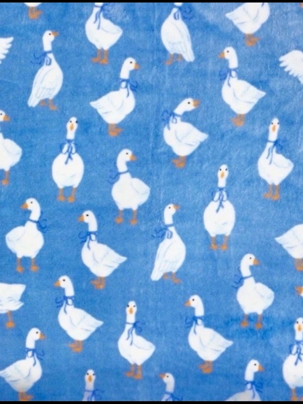 Blue Goose Geese Print Plush Throw Blanket - 60x72